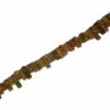 OUNIKITE TEETH JAGGED 12x5mm